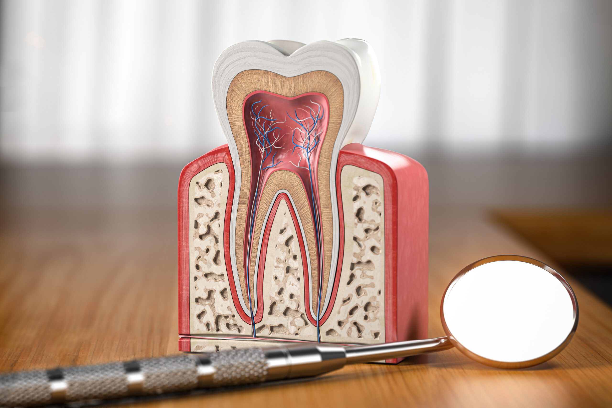emergency dental appointments in salt lake city
